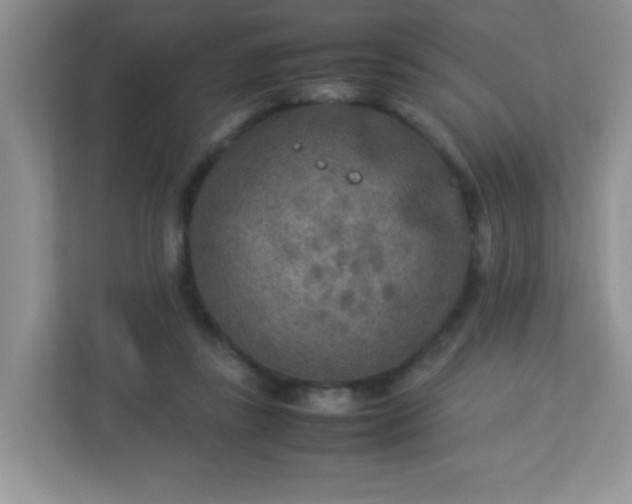 X0000113290355200909281017