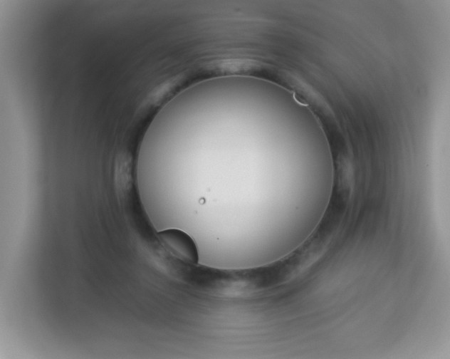 X0000113290356200909281017