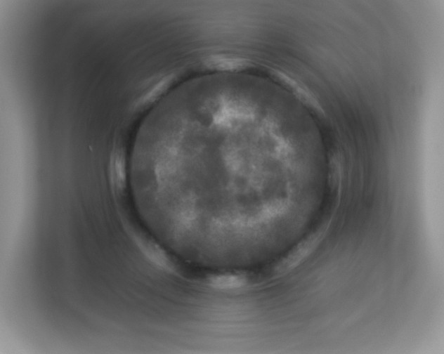 X0000113290358200909281017