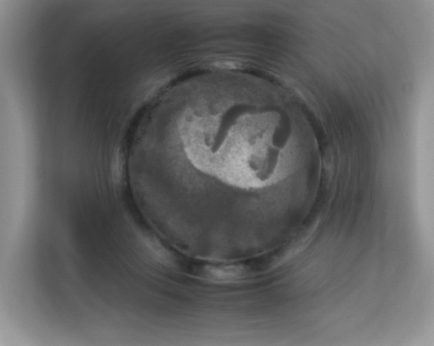 X0000113290359200909281017