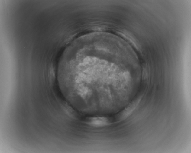 X0000113290363200909281017