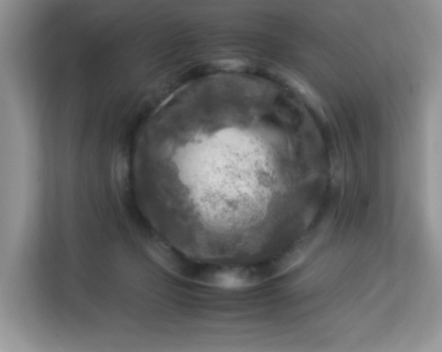 X0000113290365200909281017