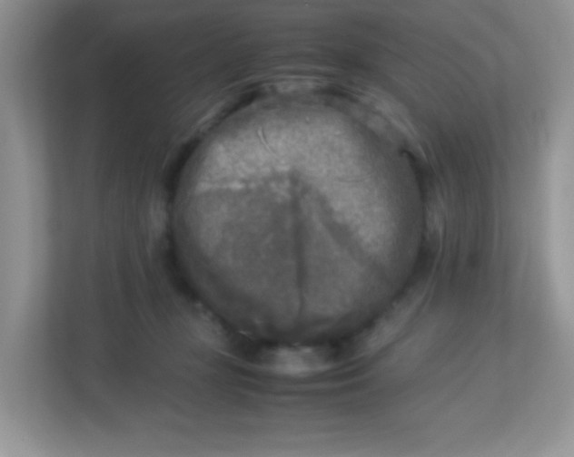 X0000113290367200909281017