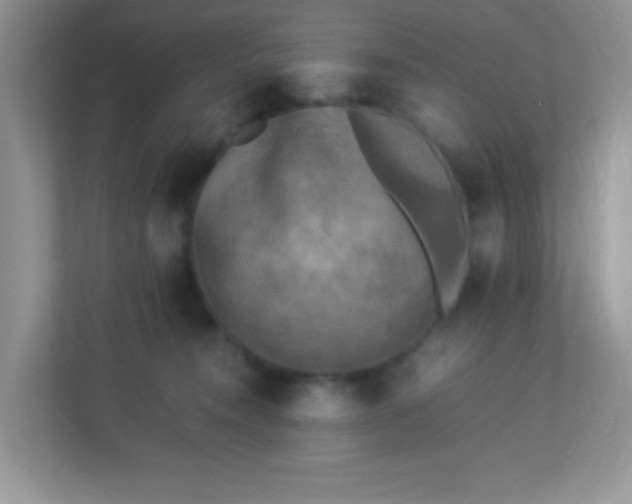 X0000113290372200909281017