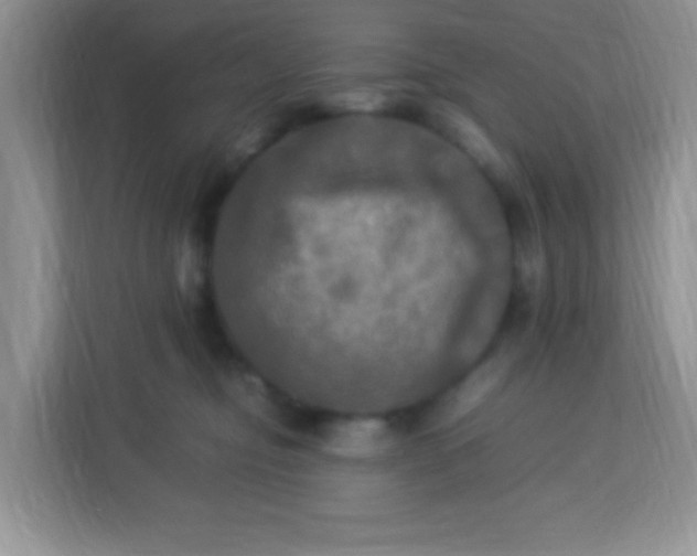 X0000113290374200909281017