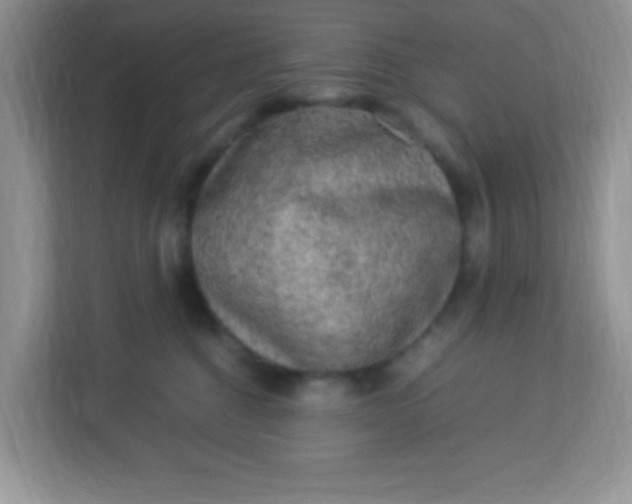 X0000113290376200909281017