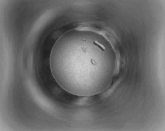 X0000113290382200909281017