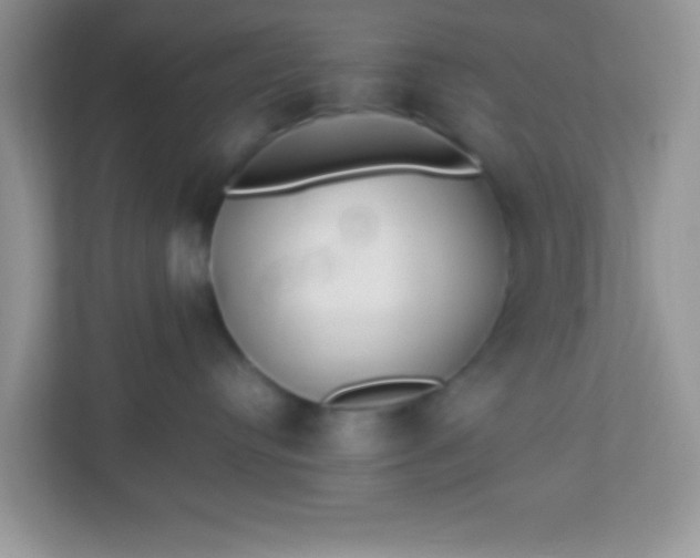 X0000113290384200909281017