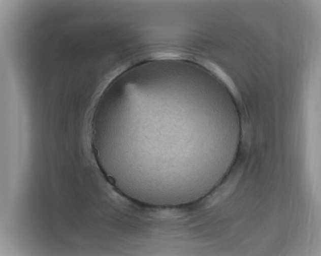 X0000113290385200909281016