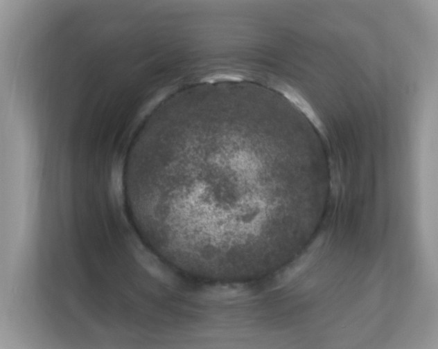 X0000113290386200909281016