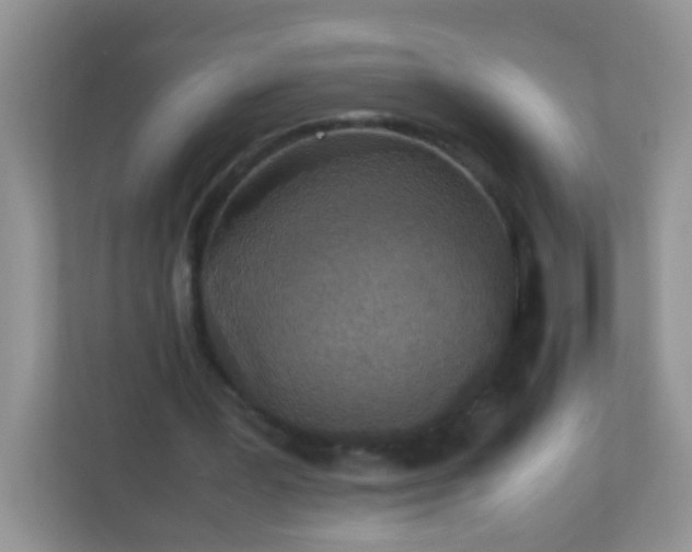 X0000113290387200909281016