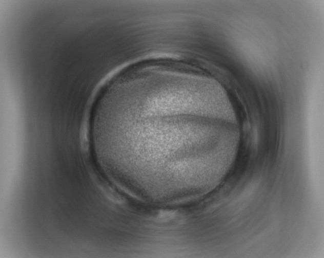 X0000113290388200909281016