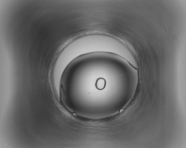 X0000113290389200909281016