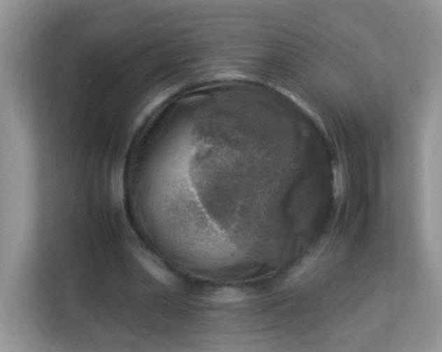 X0000113290390200909281016