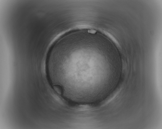 X0000113290391200909281016