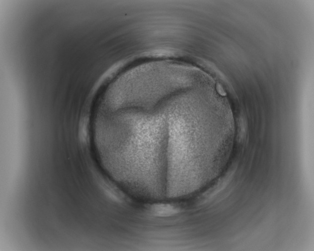 X0000113290392200909281016