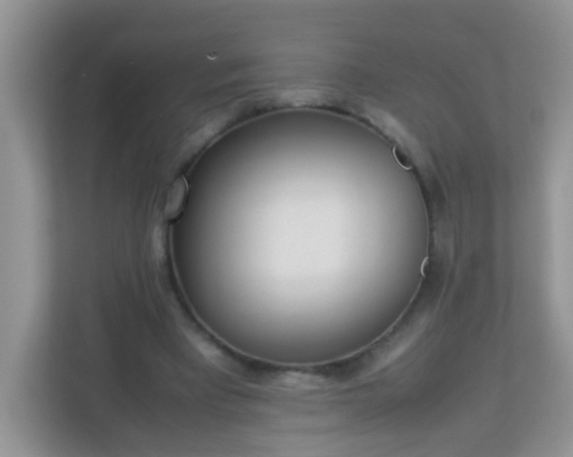 X0000113290393200909281016