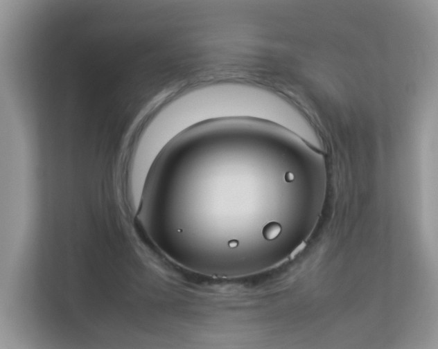 X0000113290395200909281016