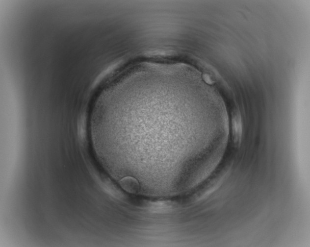 X0000113290396200909281016