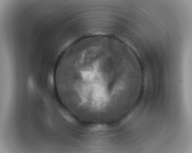 X0000113290398200909281016