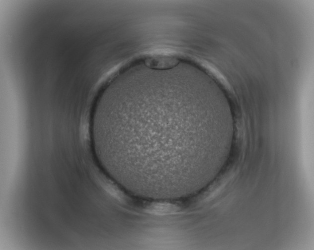 X0000113290399200909281016