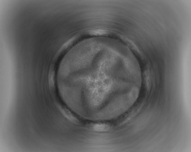 X0000113290400200909281016