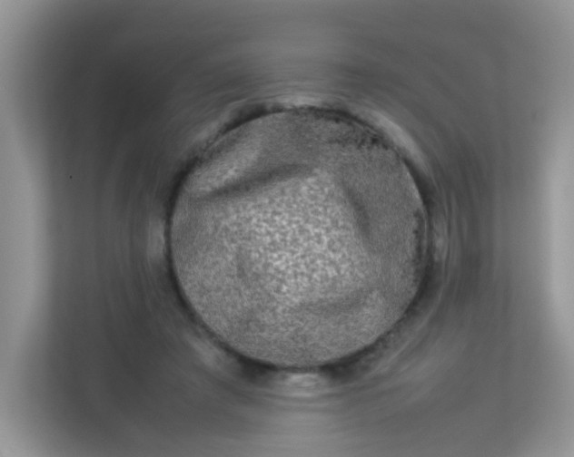 X0000113290401200909281016