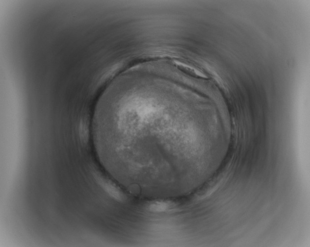 X0000113290402200909281016