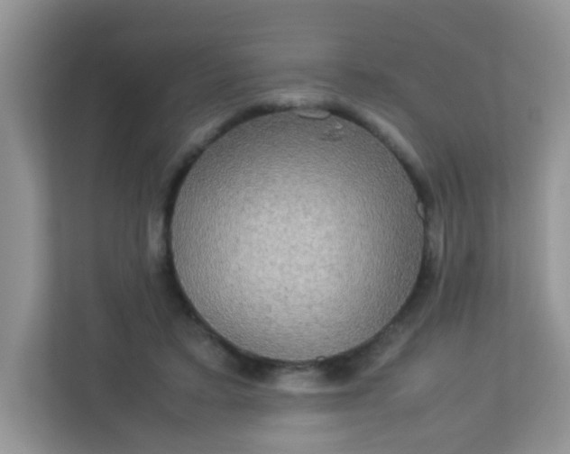 X0000113290403200909281016