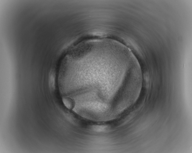 X0000113290404200909281016