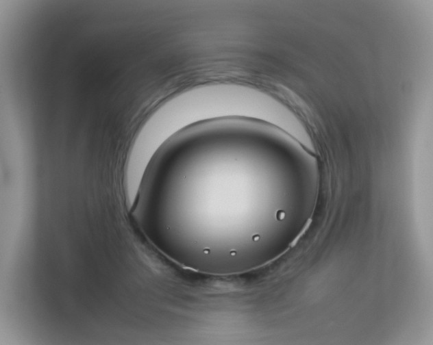 X0000113290405200909281016