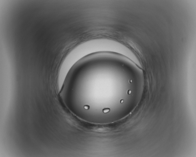 X0000113290407200909281016