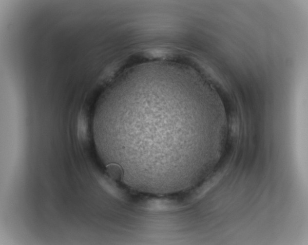 X0000113290408200909281016