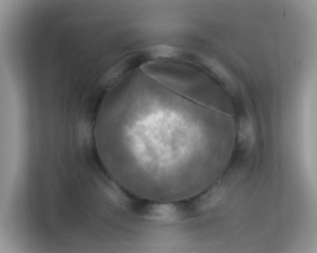 X0000113290409200909281016