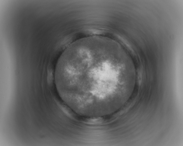 X0000113290410200909281016