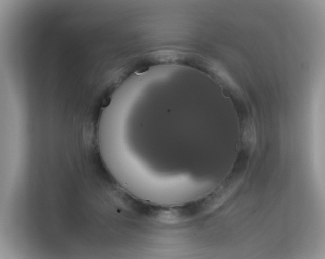 X0000113290411200909281016