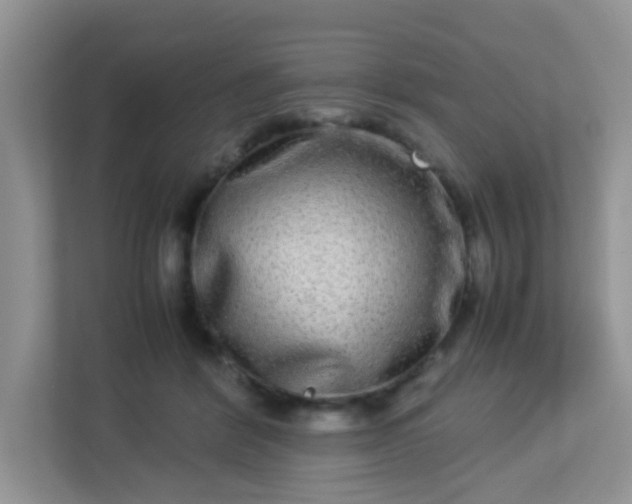 X0000113290412200909281016