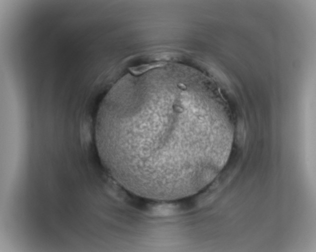 X0000113290413200909281016