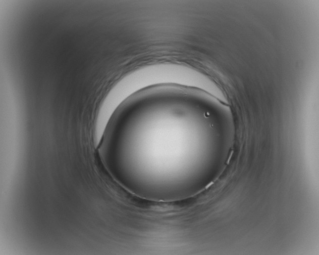 X0000113290417200909281016