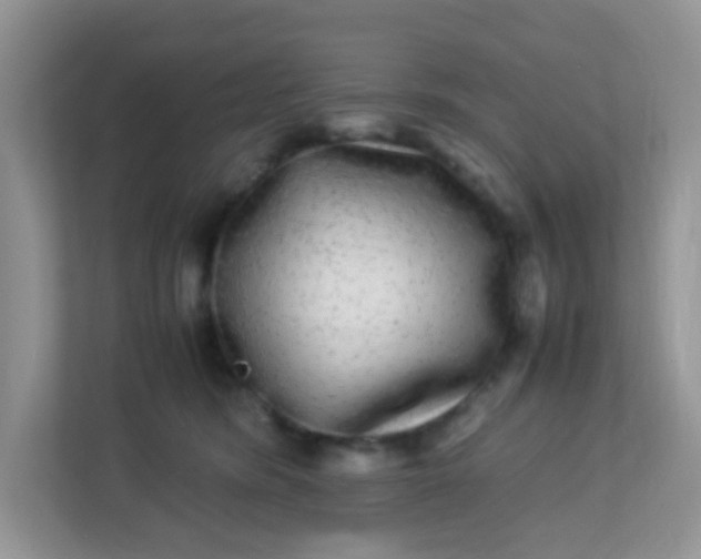 X0000113290420200909281016