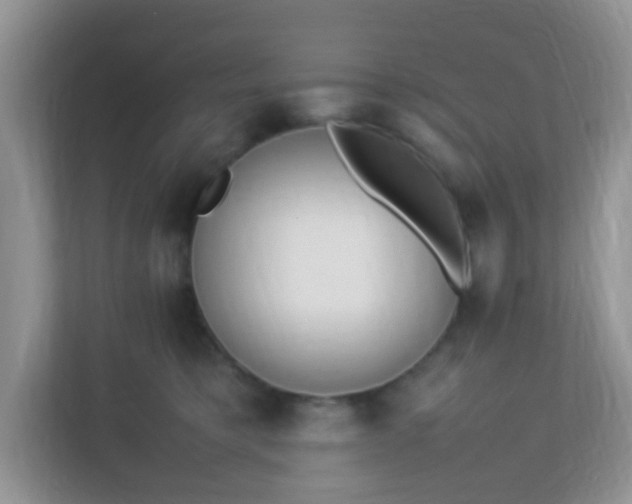 X0000113290421200909281016