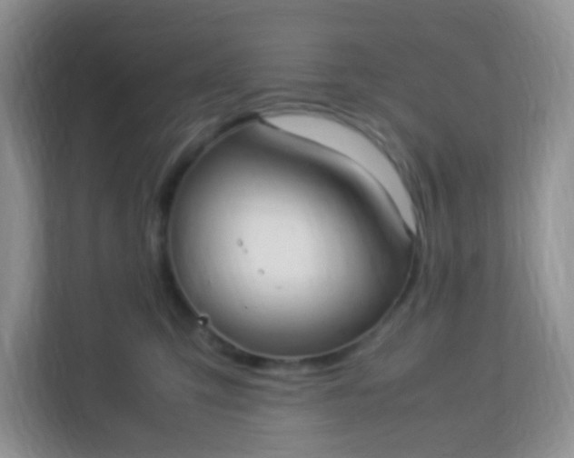 X0000113290423200909281016