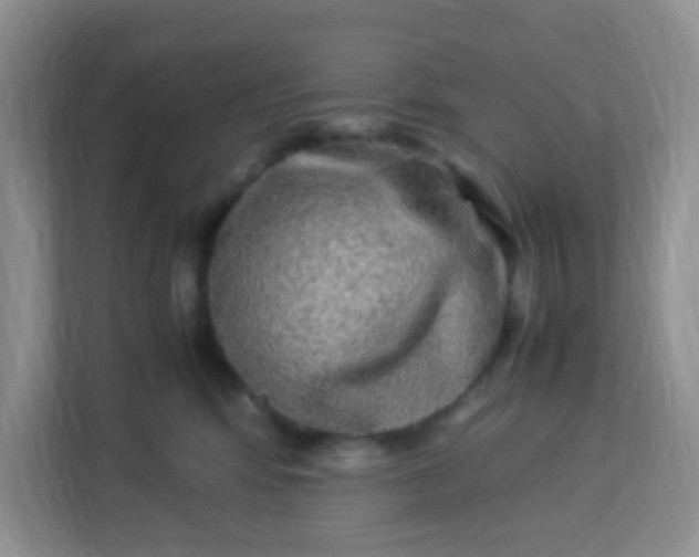 X0000113290424200909281016