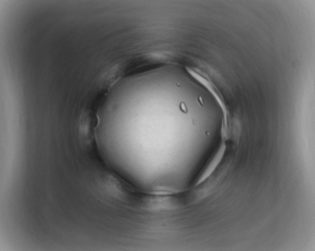 X0000113290428200909281016