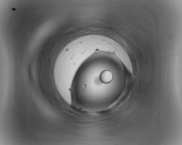 X0000113290429200909281016