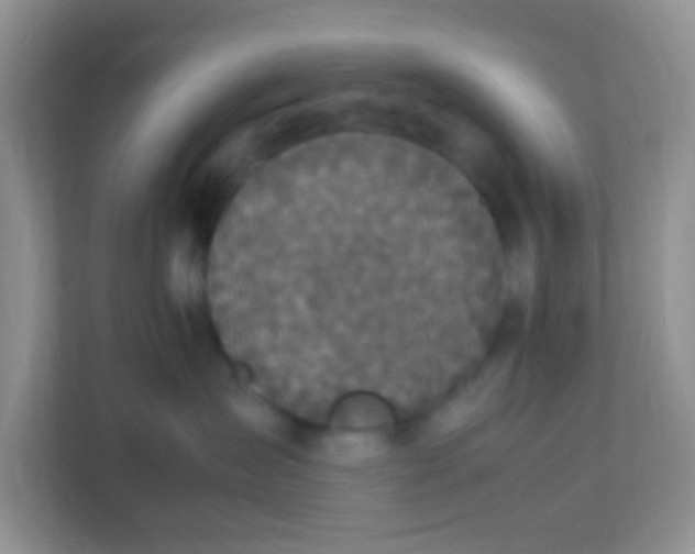 X0000113290431200909281016