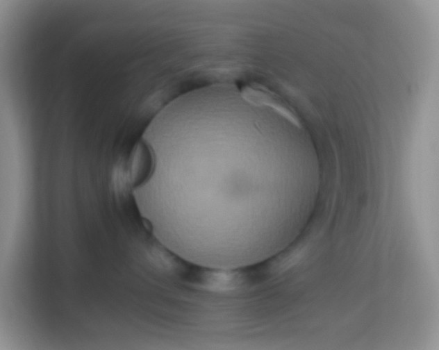 X0000113290432200909281016