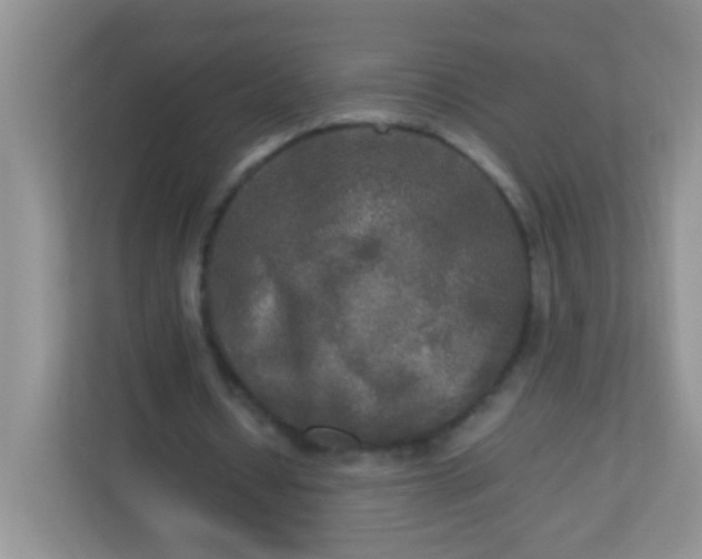 X0000113290434200909281015