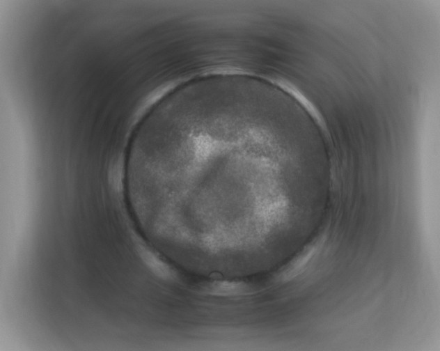 X0000113290437200909281015