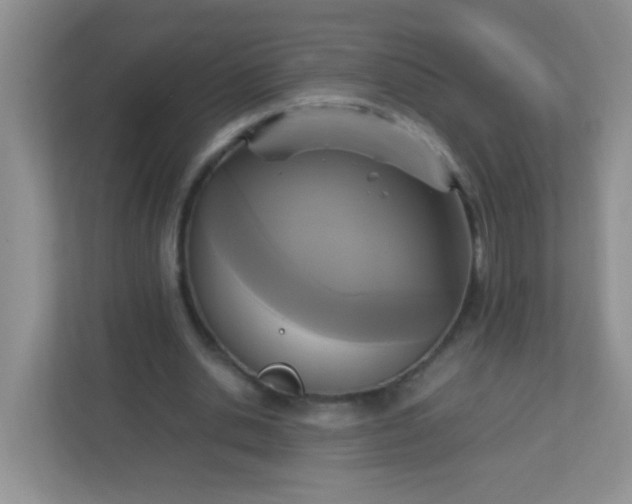 X0000113290438200909281015